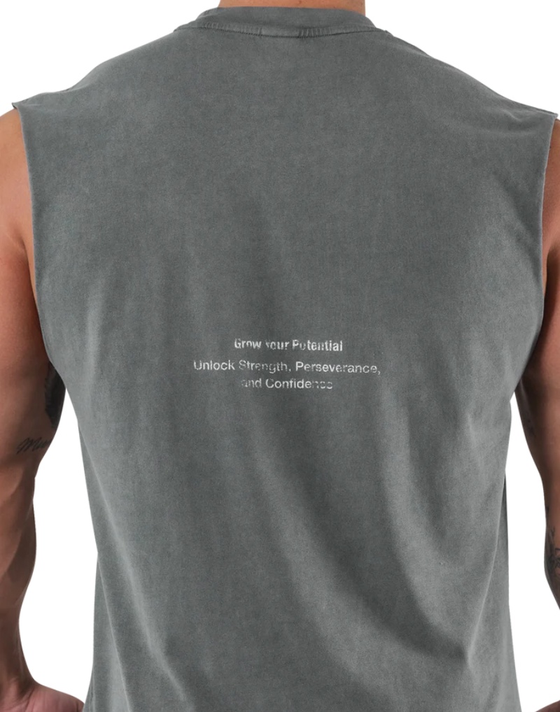 LYFT Summer Men's Washed Cotto - Muscle Tee Workout 评论和价格